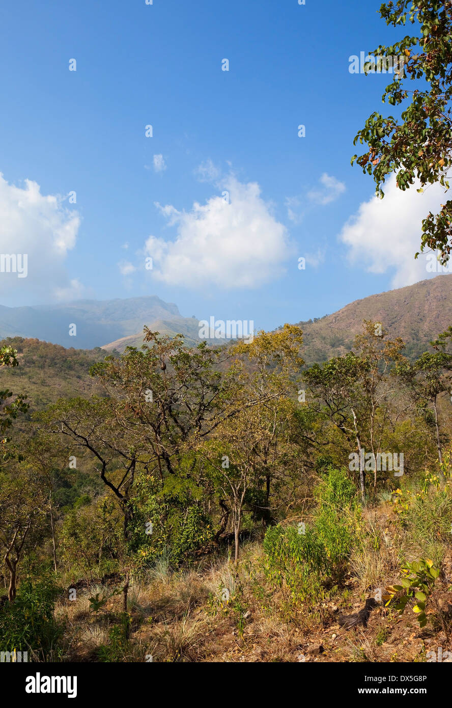 Malerische Tamil Nadu, South Indian hügelige Landschaft mit Büschen und Bäumen unter blauem Himmel mit flauschigen weißen Wolken Stockfoto