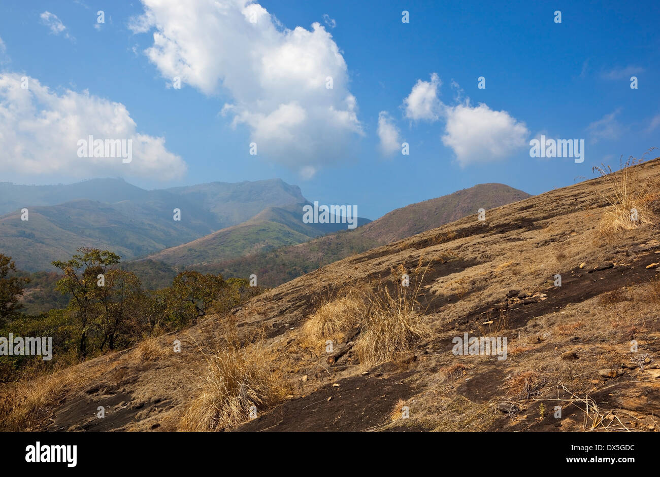 Wunderschöne Berglandschaft in den Nilgiri Hills in der Nähe von Kodaikanal, in Tamil Nadu, Südindien. Stockfoto