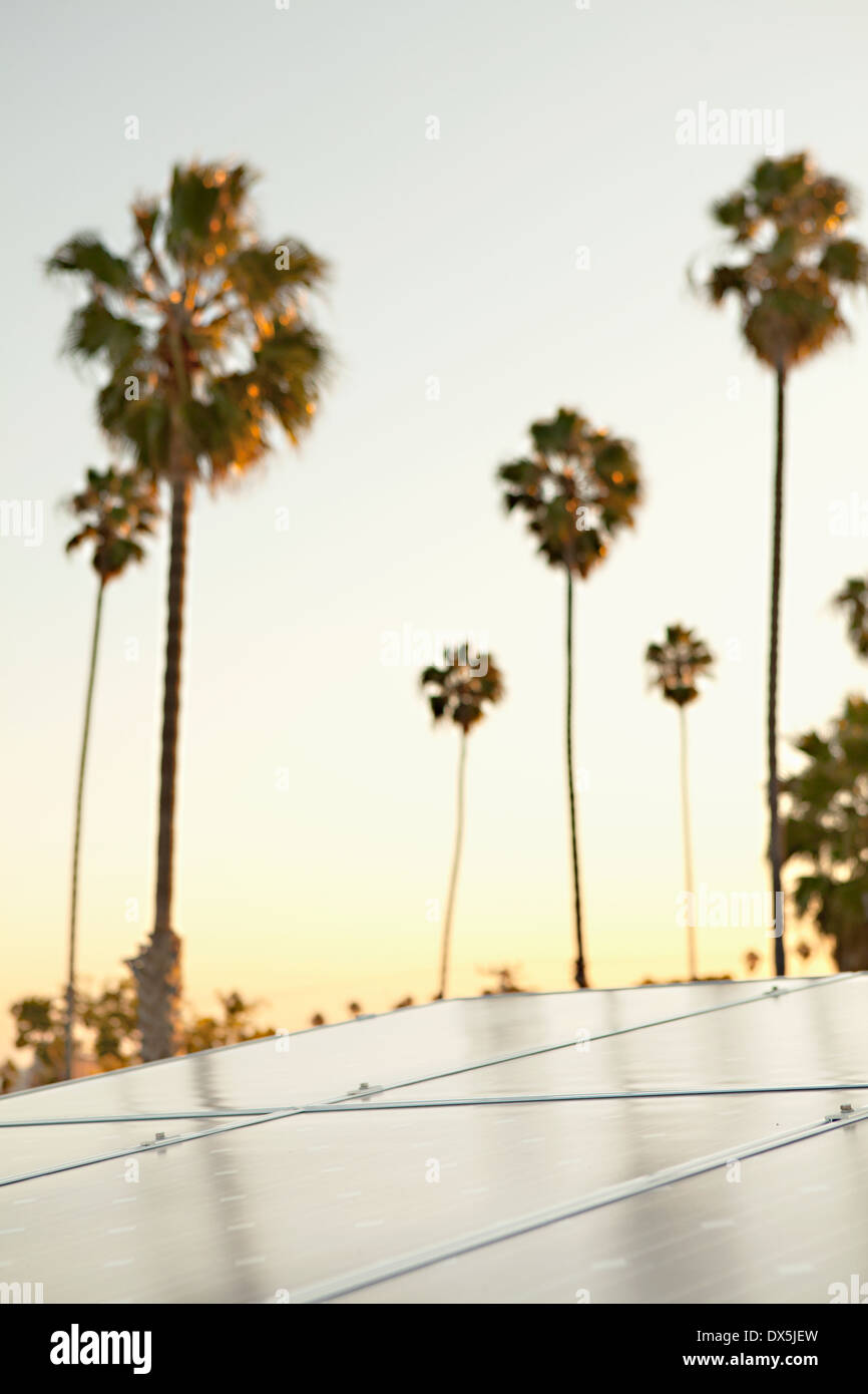 Solar-Panels gegen Sonnenuntergang Himmel mit Palmen Bäume, Kalifornien, USA Stockfoto