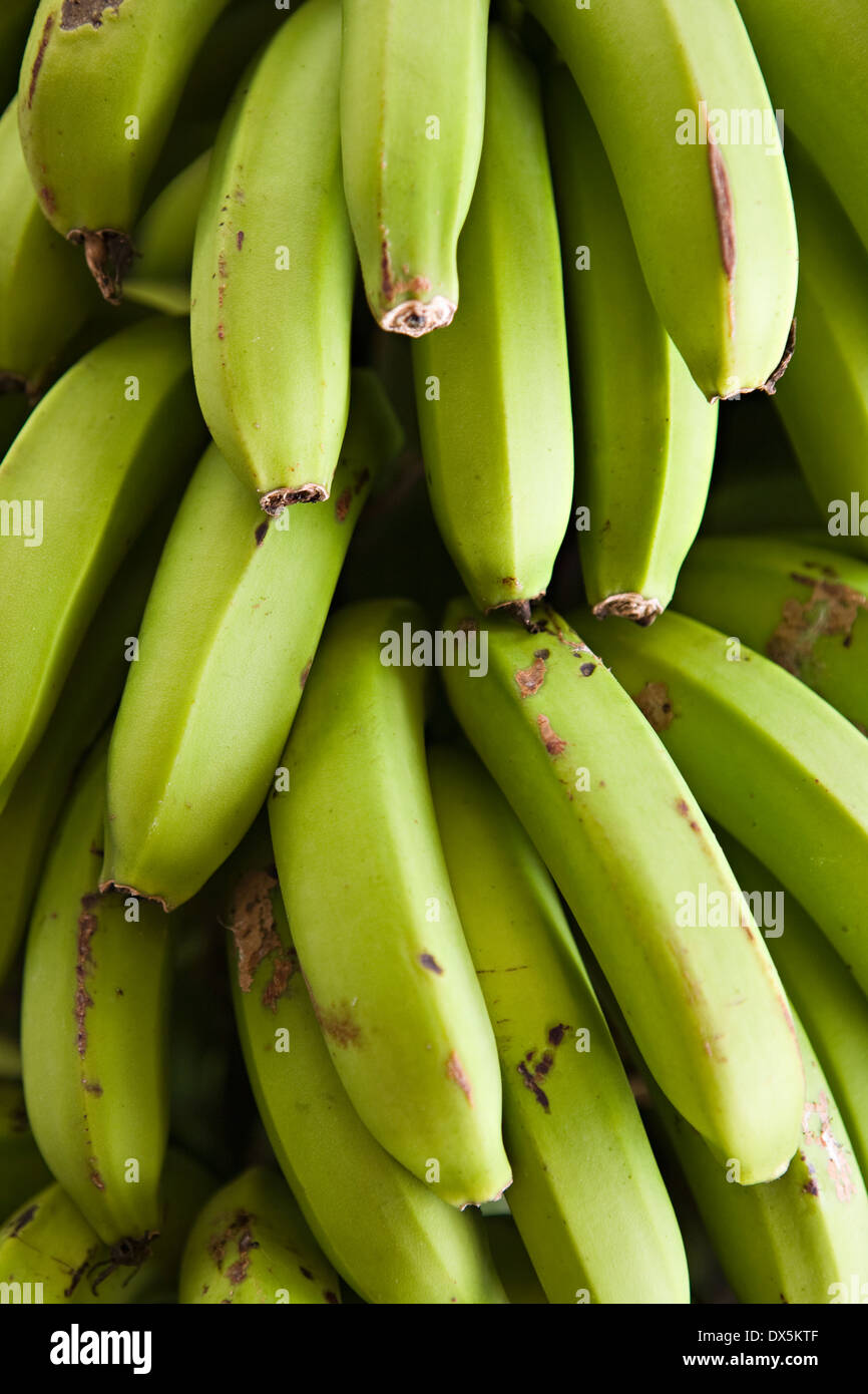 Grüne Banane Trauben, hautnah, direkt oben, full Frame, Nahaufnahme Stockfoto