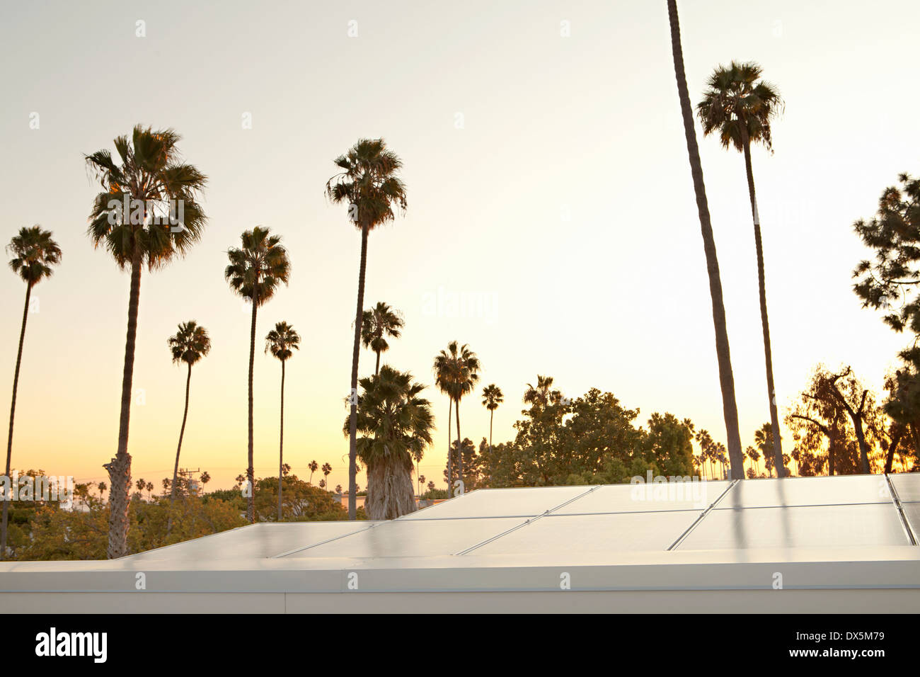 Solar-Panels gegen Sonnenuntergang Himmel mit Palmen Bäume, Kalifornien, USA Stockfoto