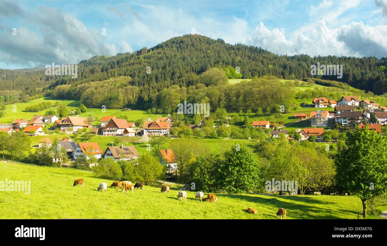 Dorf im Schwarzwald, Deutschland Stockfoto