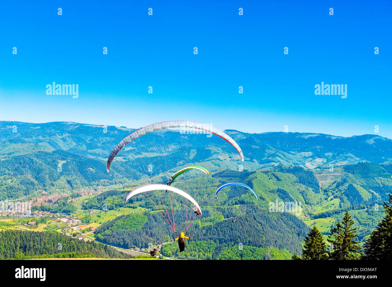 Gleitschirme im Schwarzwald, Deutschland Stockfoto