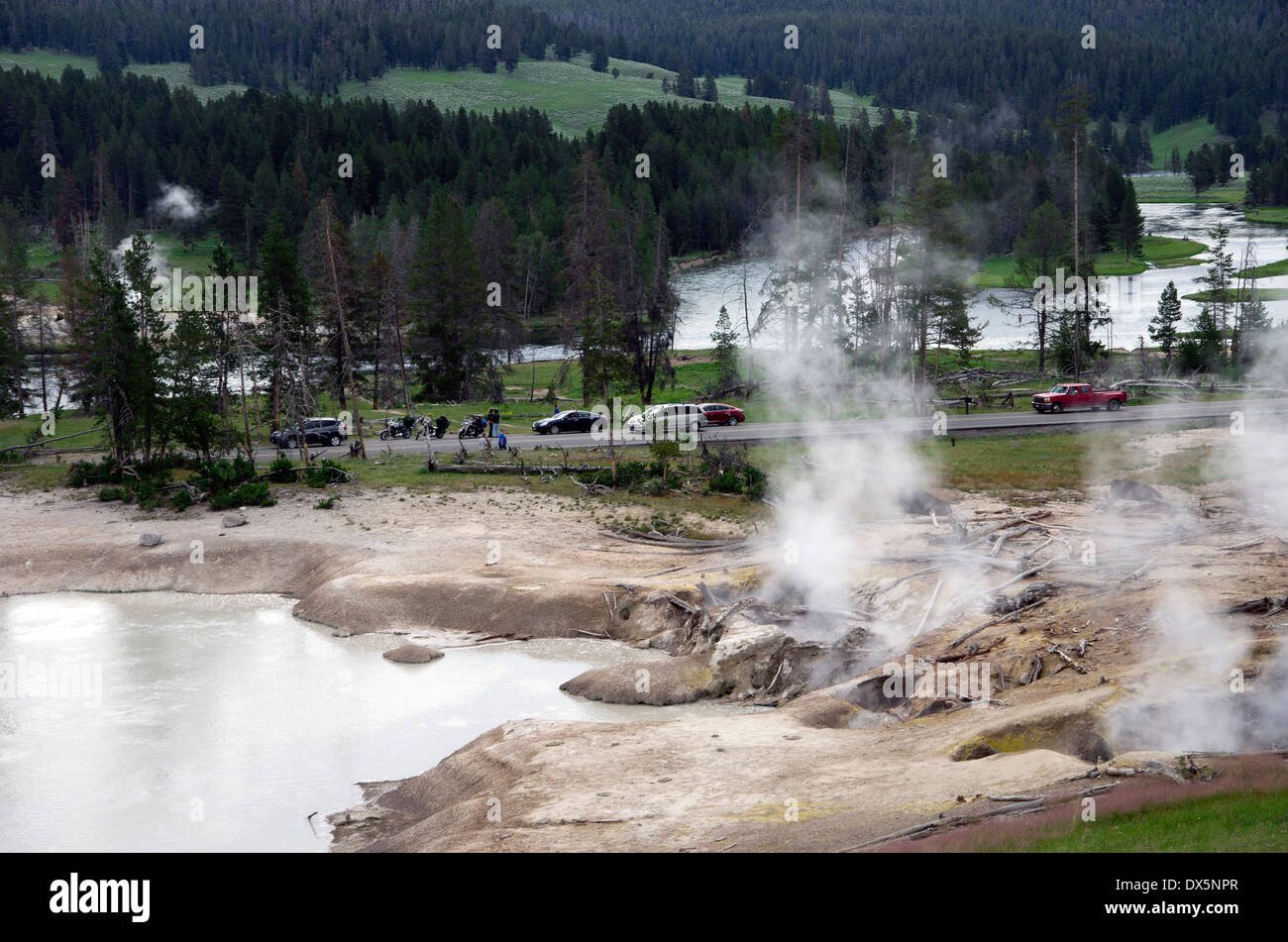 Mit Blick auf Schlamm-Geysir, jam Autos verursacht Verkehr beobachtete Bison auf der Straße. Stockfoto