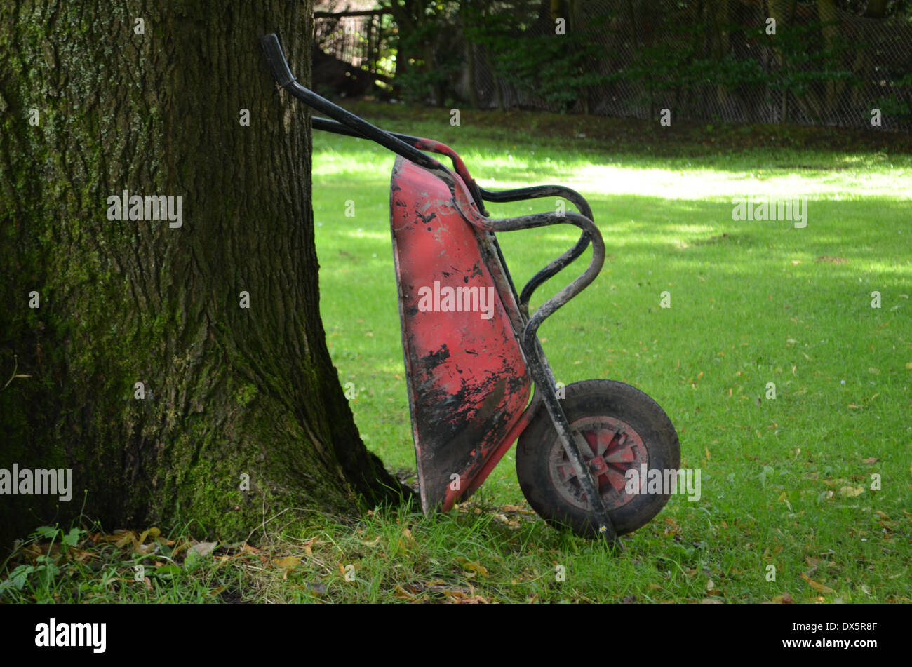 Rote Schubkarre an einen Baum gelehnt Stockfoto