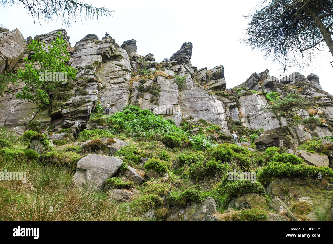 Menschen klettern oder Bouldern auf The Roaches Staffordshire Stockfoto