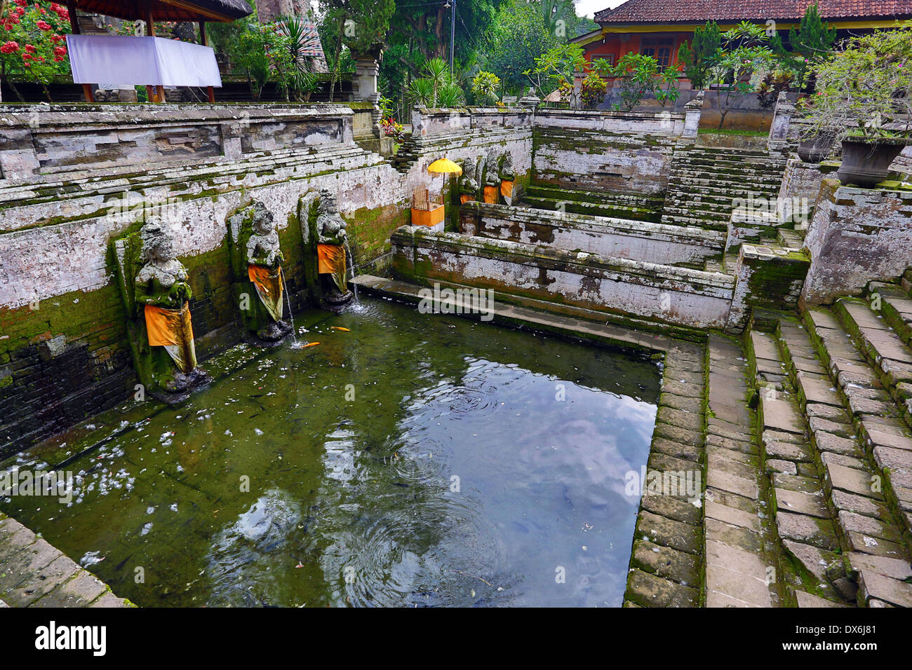 Goa Gajah Elefantenhöhle Weihwasser Frühling, in der Nähe von Ubud, Bali, Indonesien Stockfoto