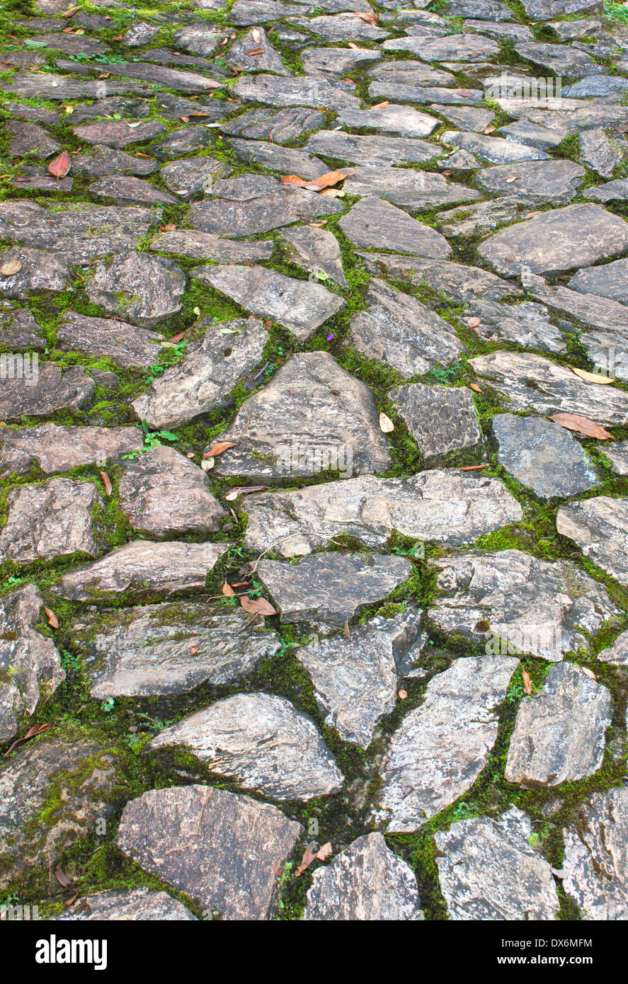 Stein-Boden mit Laub und bemoosten Steinen Stockfoto