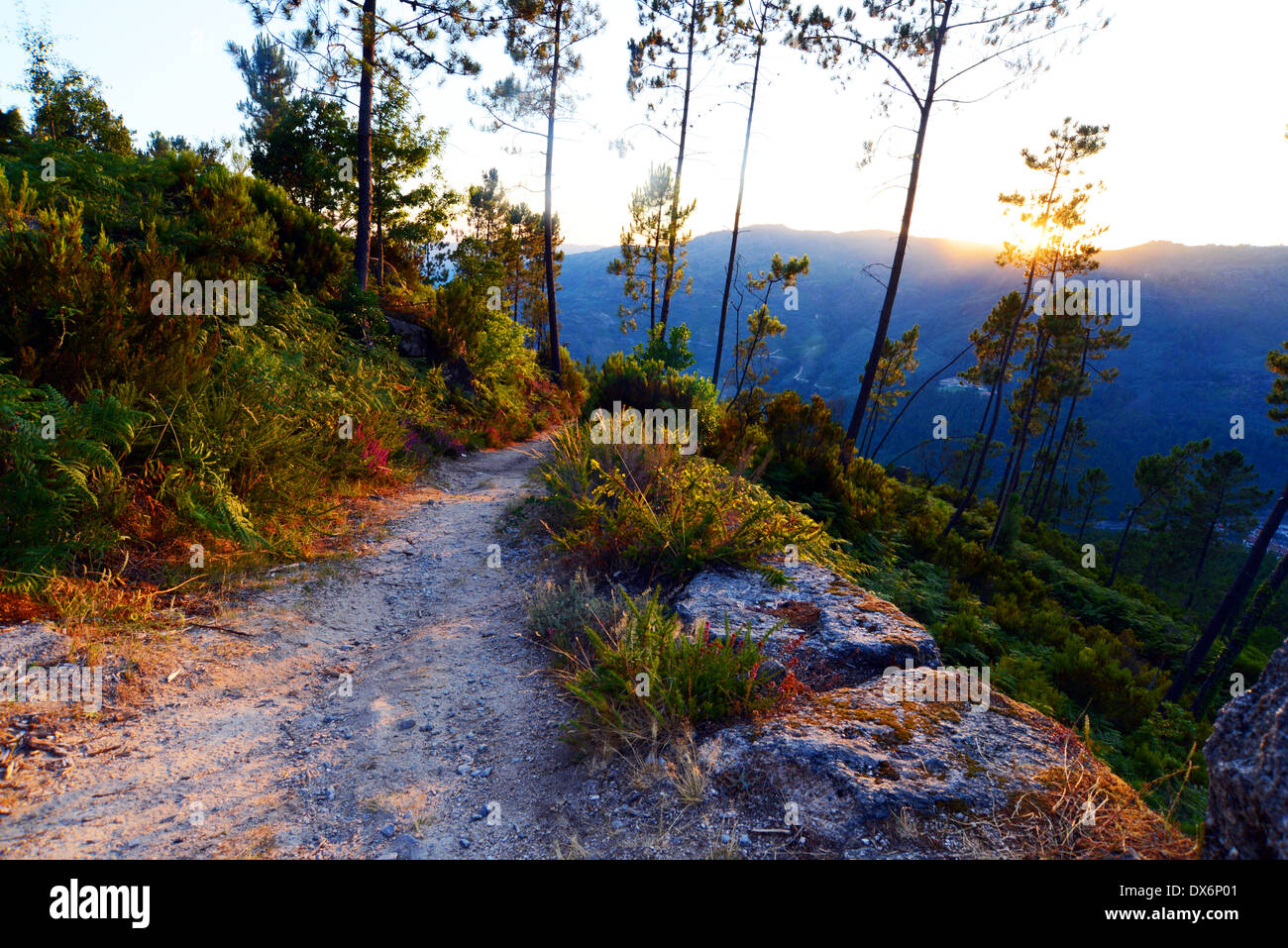 Northern Portugal Peneda Geres Nationalpark-Landschaft von Wald und Bergen. Stockfoto