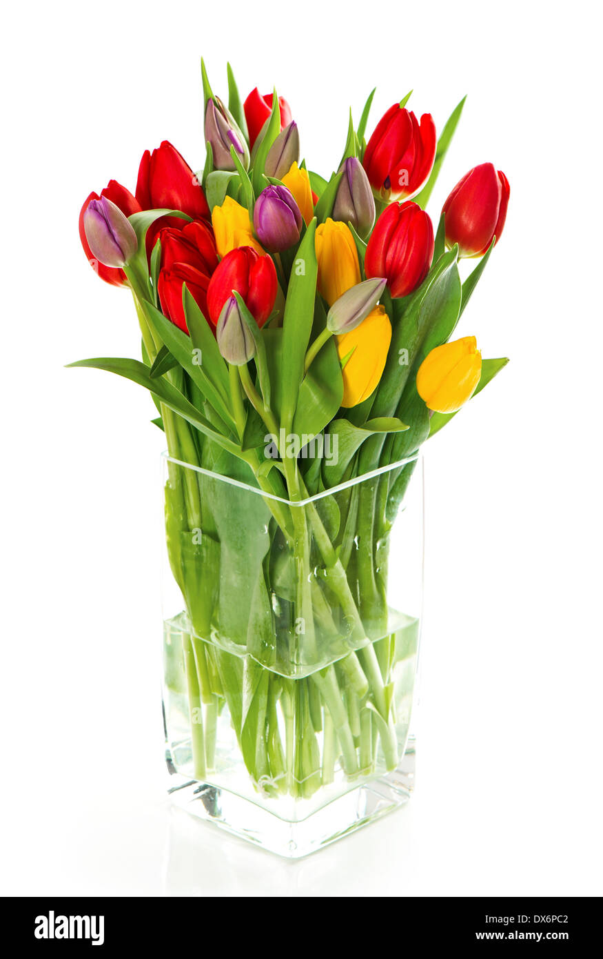 bunter Strauß frischer Frühlingsblumen Tulpe auf weißem Hintergrund Stockfoto