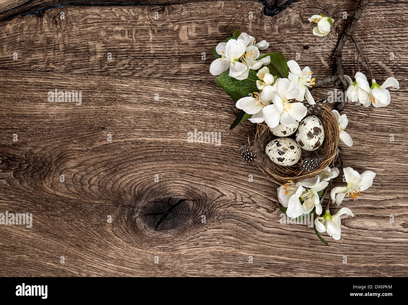 Blumen und Oster nest mit Eiern auf rustikalen hölzernen Hintergrund. Frühling Baum Apfelblüte Stockfoto