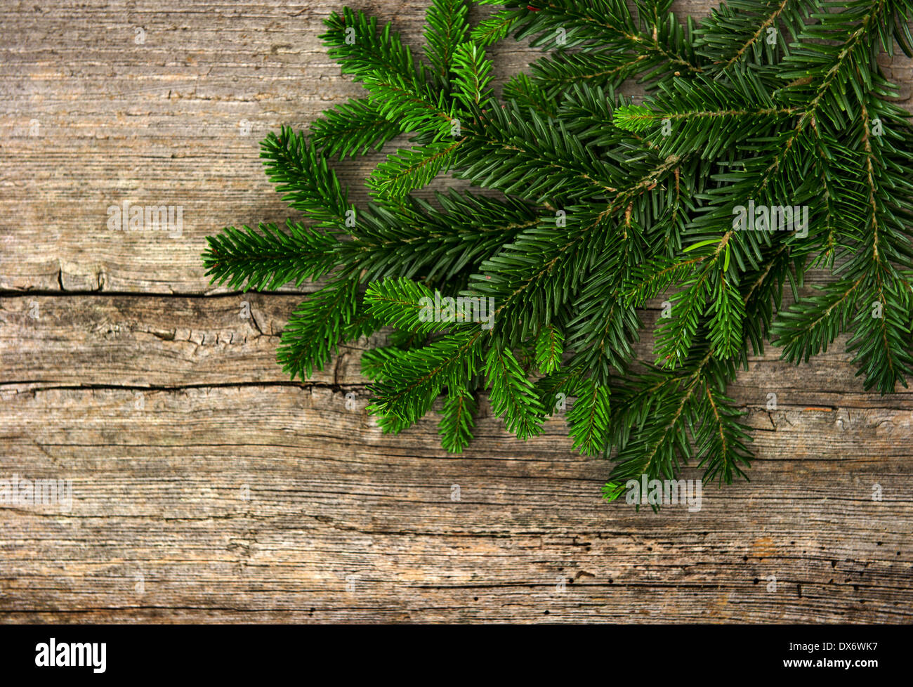 grüne frische Tanne Zweig auf rustikalen hölzernen Hintergrund. Weihnachts-Dekoration Stockfoto