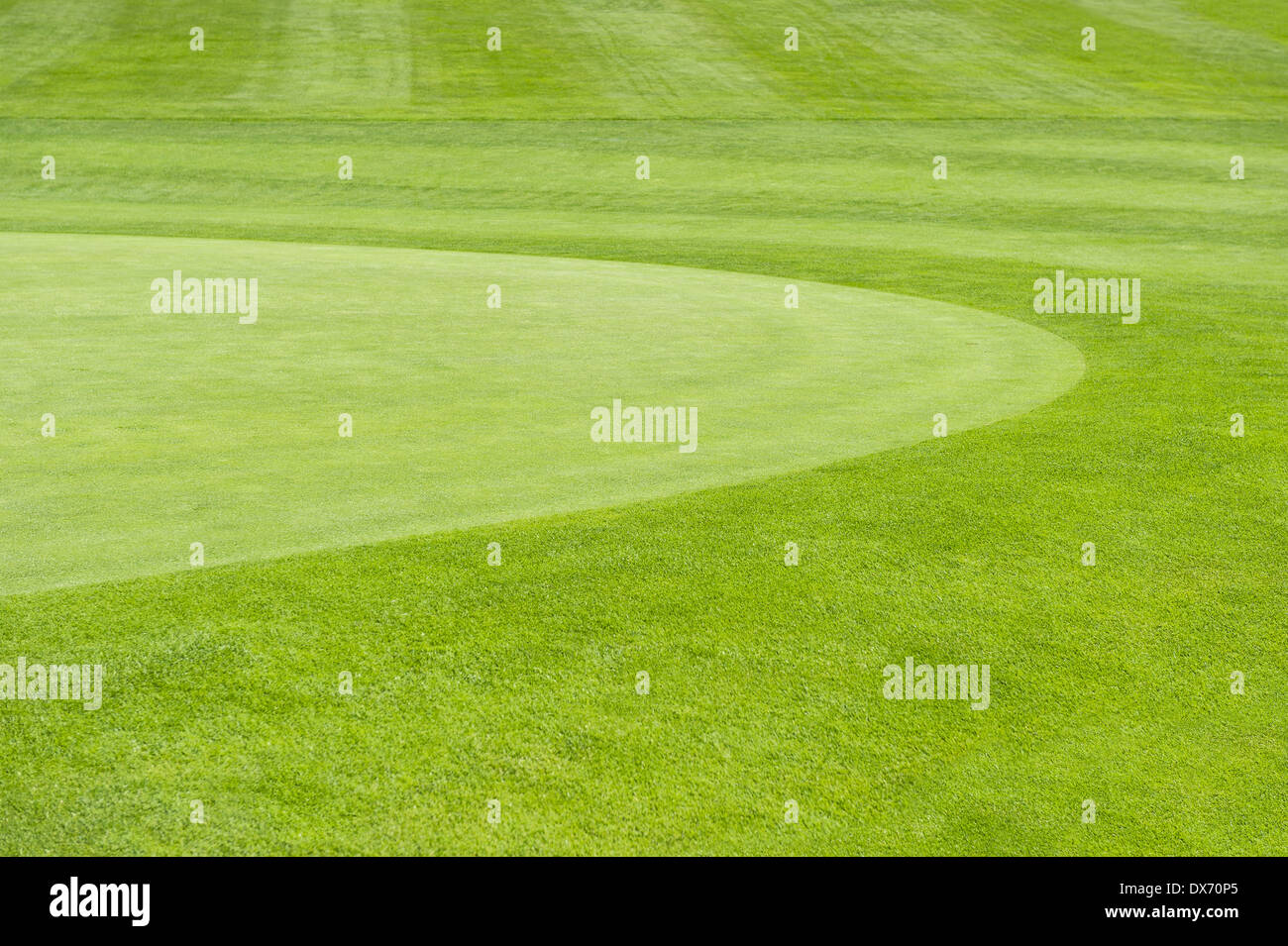 Golfplatz. grünen Wiese Hintergrund Stockfoto