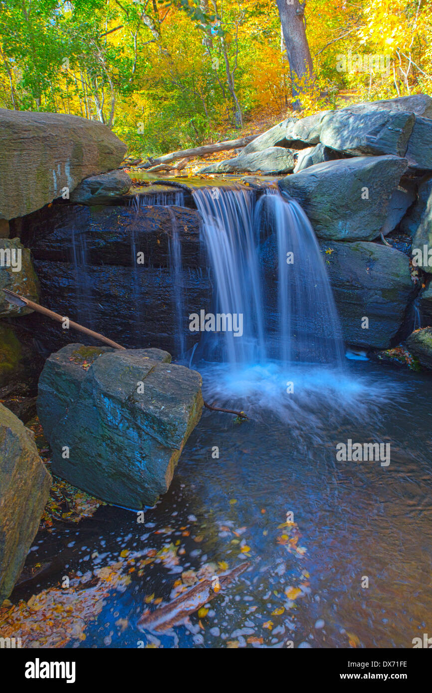 North Woods, Wasserfall, Central Park, New York, NY, USA Stockfoto