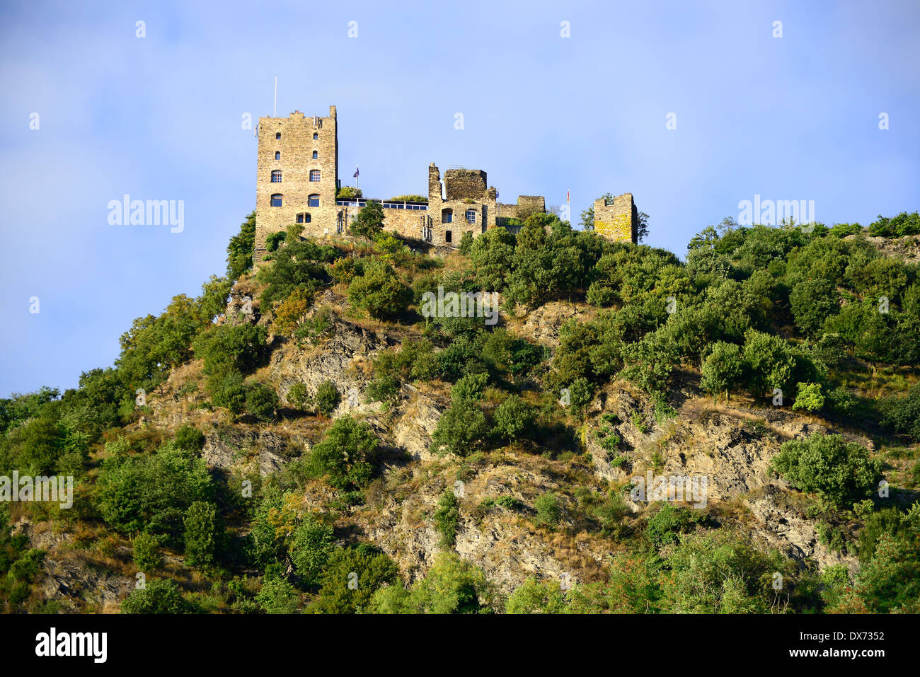 Liebenstein Schloss Rheintal Deutschland Europa Weinberge Weingüter Kreuzfahrt DE Stockfoto