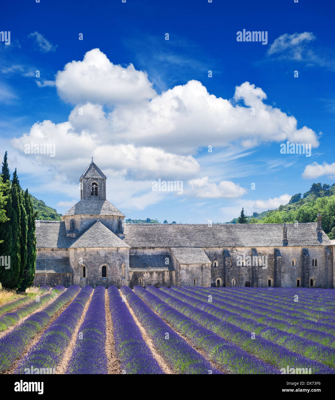 Senanque Abbey mit Lavendelfeld, Wahrzeichen der Provence, Vaucluse, Frankreich. Schöne Landschaft mit mittelalterlichen Burg und bewölkt Stockfoto