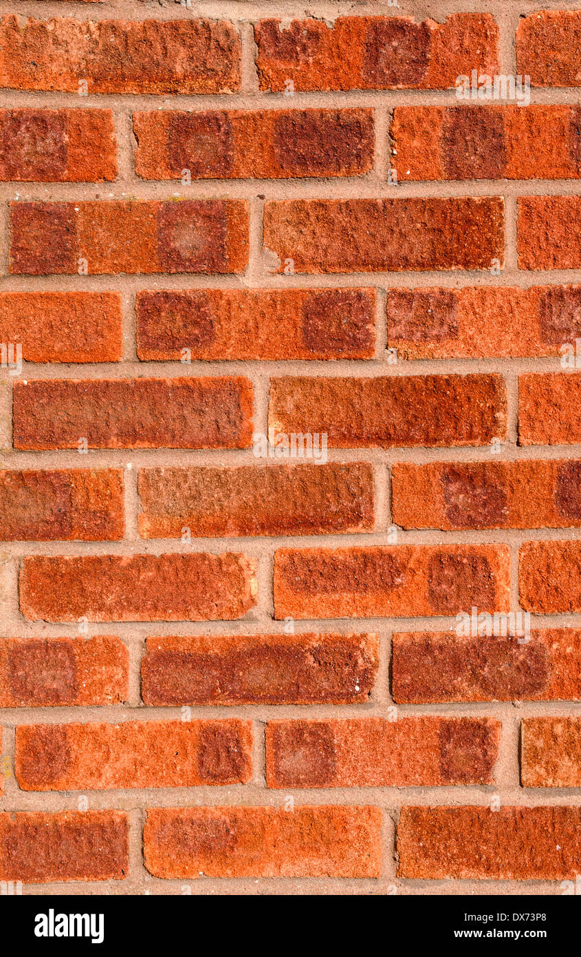 Roten Backsteinmauer mit braun-grau zeigt, Portrait, mittlere Schuss. Stockfoto