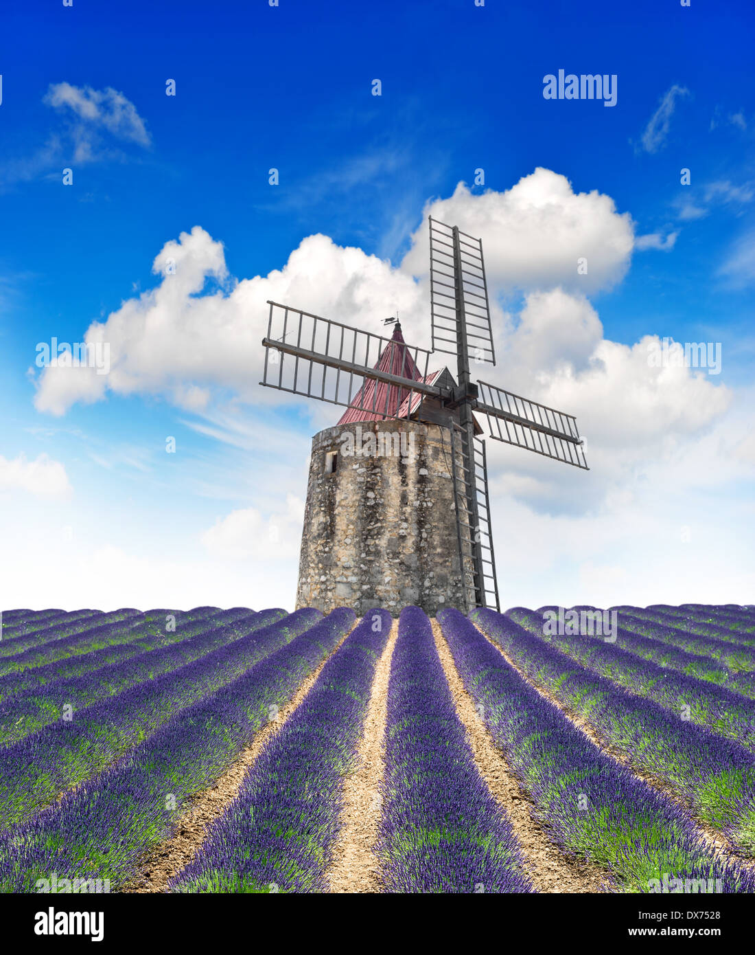 Blühende Lavendelfeld mit Windmühle und blauem Himmel. Landschaft in der Provence, Frankreich Stockfoto