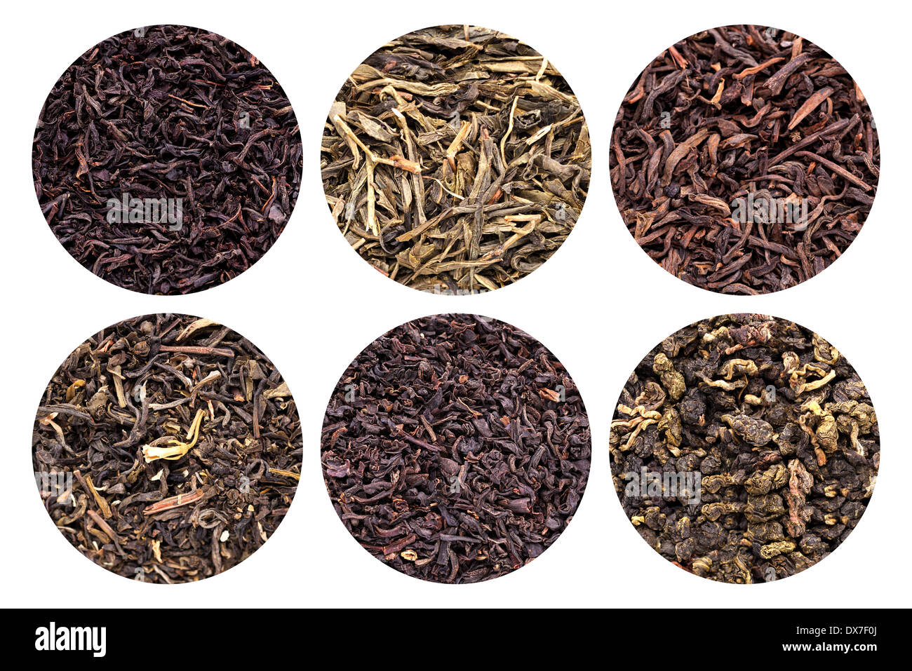 Sammlung von 6 verschiedenen Teesorten, die isoliert auf weißem Hintergrund. Stockfoto