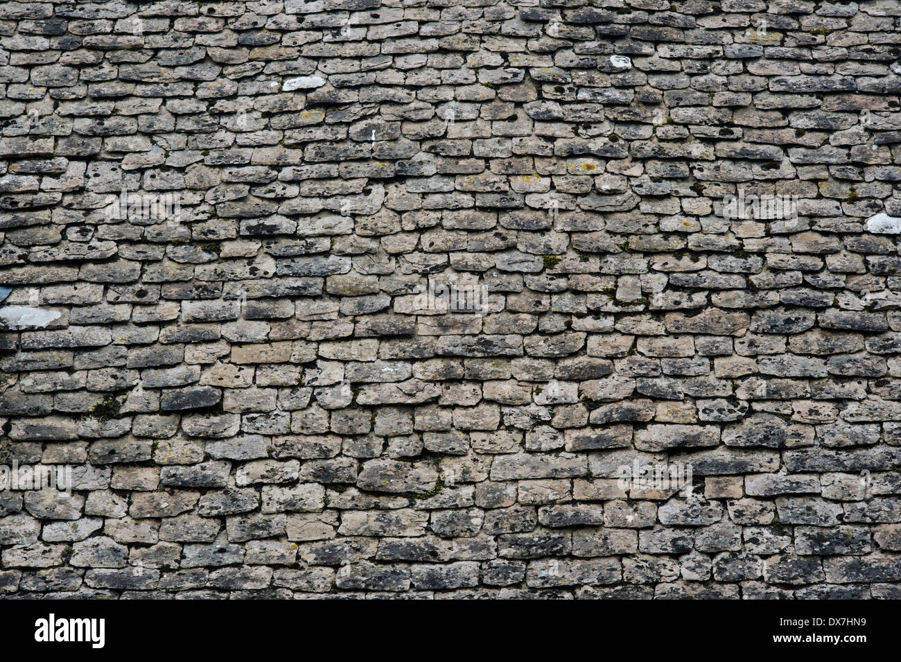 Alten Cotswold Stone Tetbury Dachziegel auf einer Hütte in den Cotswolds, Gloucestershire, England Stockfoto