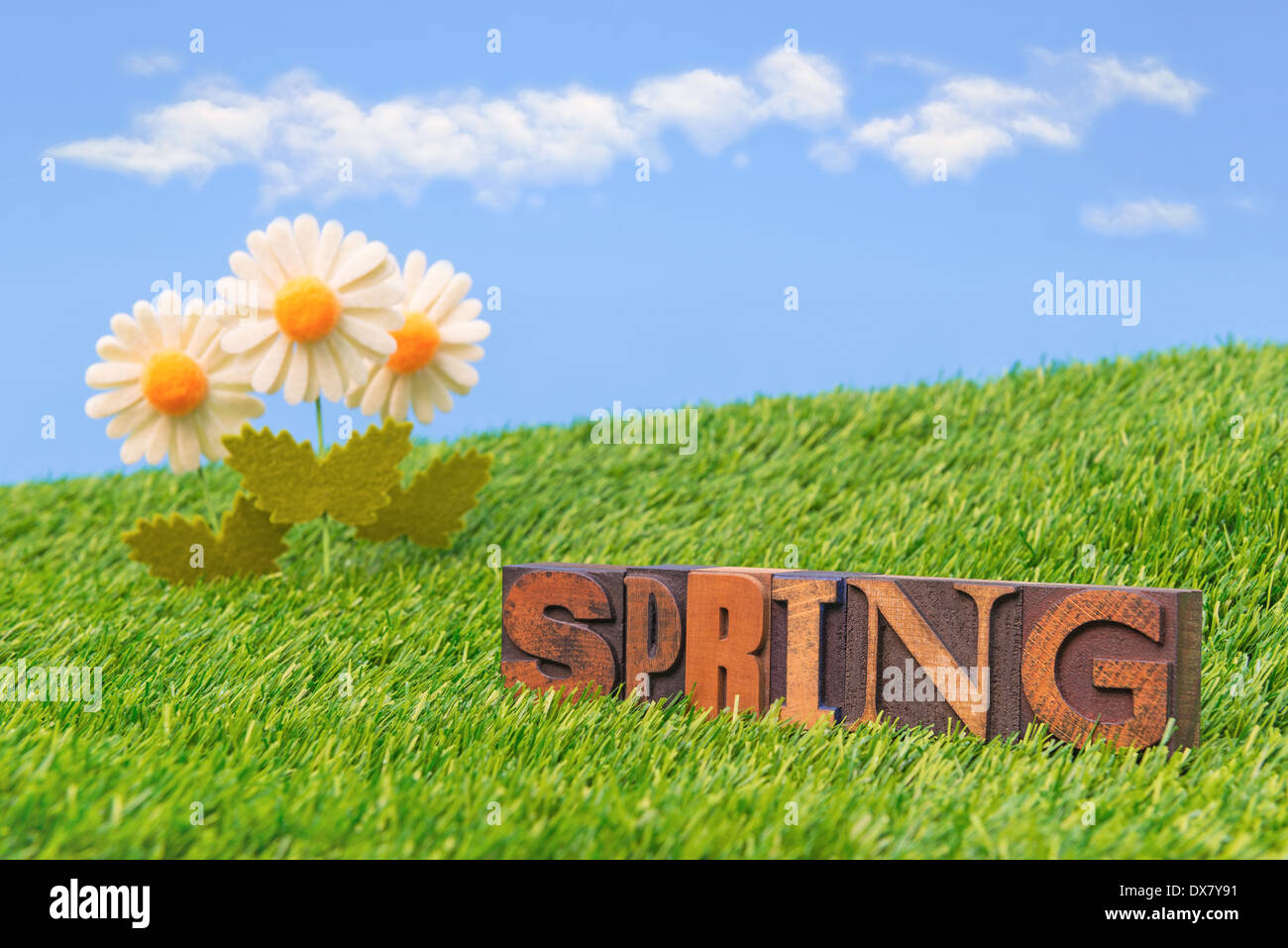 Das Wort Frühling im alten hölzernen Buchdruck mit grünem Rasen, weiße Margeriten und ein strahlend blauer Himmel mit weißen flauschigen Wolken. Stockfoto