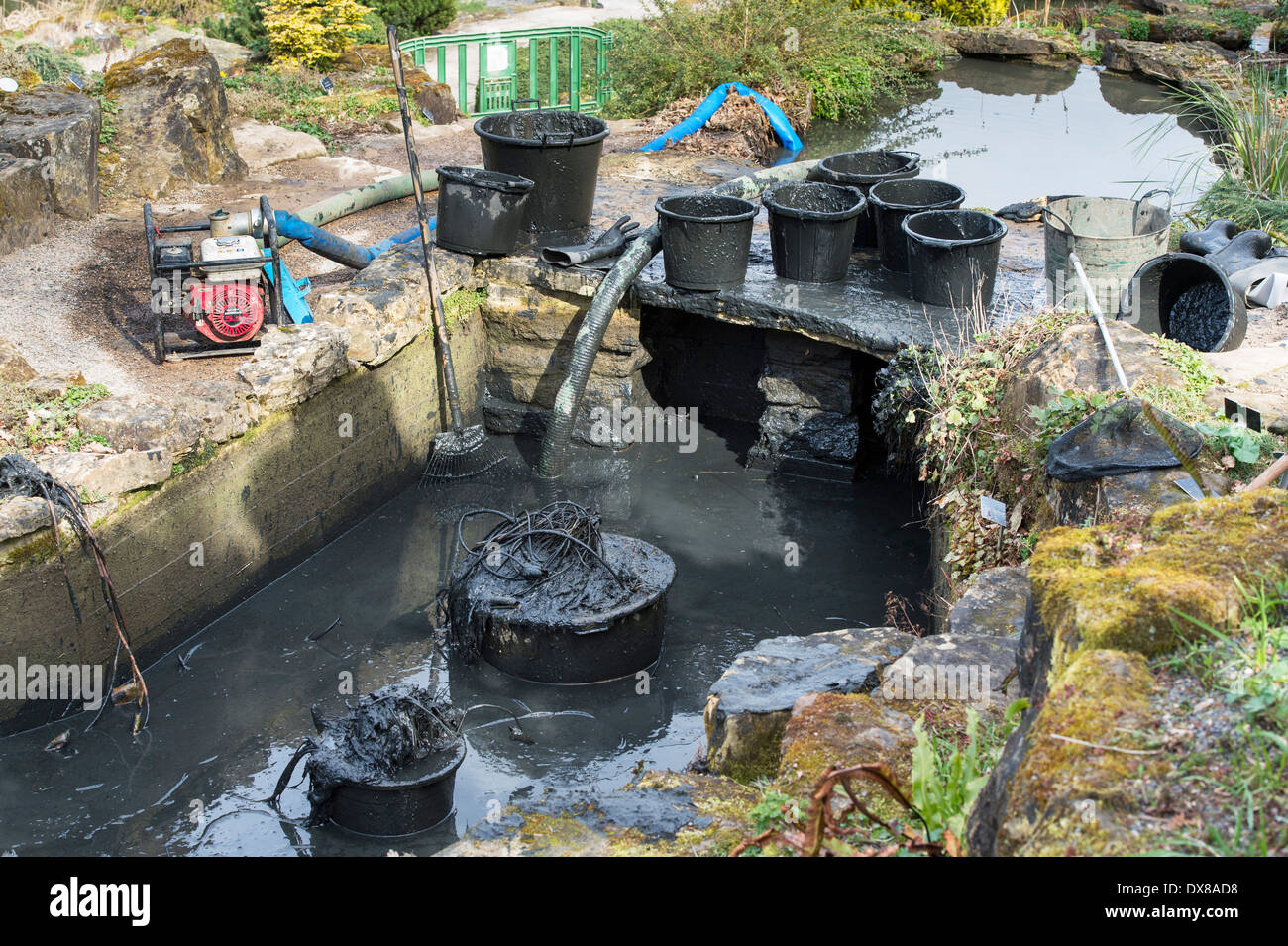 Schlick Baggerarbeiten, dekorative Teiche im RHS Wisley Gardens, Surrey, England Stockfoto