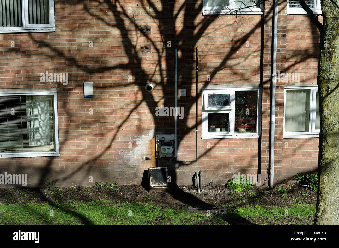 Schatten eines Baumes auf ein Wohngebiet housing komplexe England uk Stockfoto