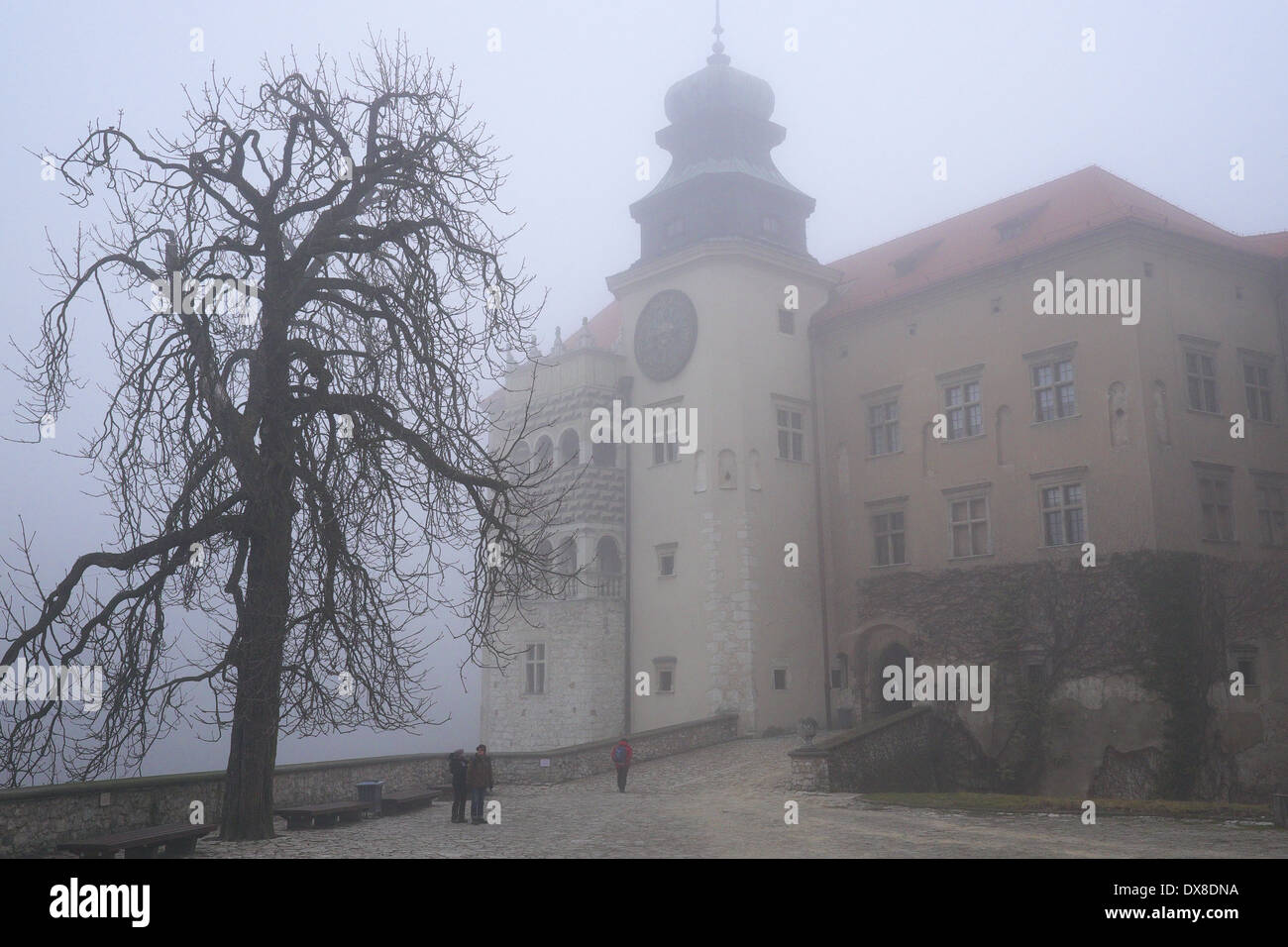 Polen. Pieskowa Skala Burg nahe Krakau in dichtem Nebel. Stockfoto