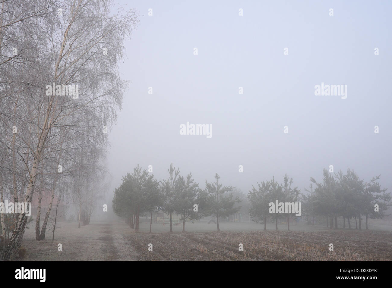 Malerische Beschriftung des nebligen Landschaft in Woiwodschaft Świętokrzyskie Berge, Polen Stockfoto