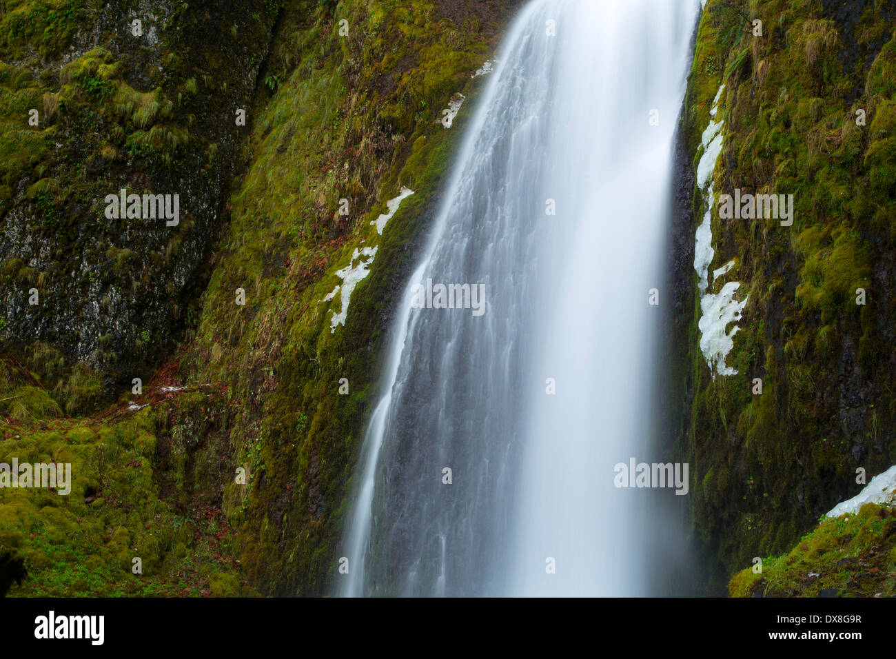 Wahkeena Falls, Mt. Hood National Forest, Columbia River Gorge National Scenic Area, Oregon Stockfoto