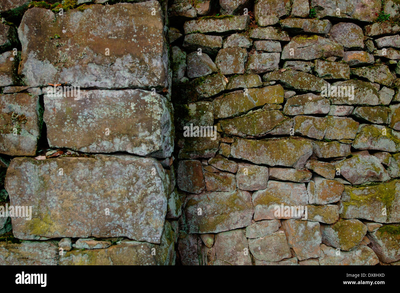 Moos & Flechten wachsen auf einem Stein Wall.4. Stockfoto
