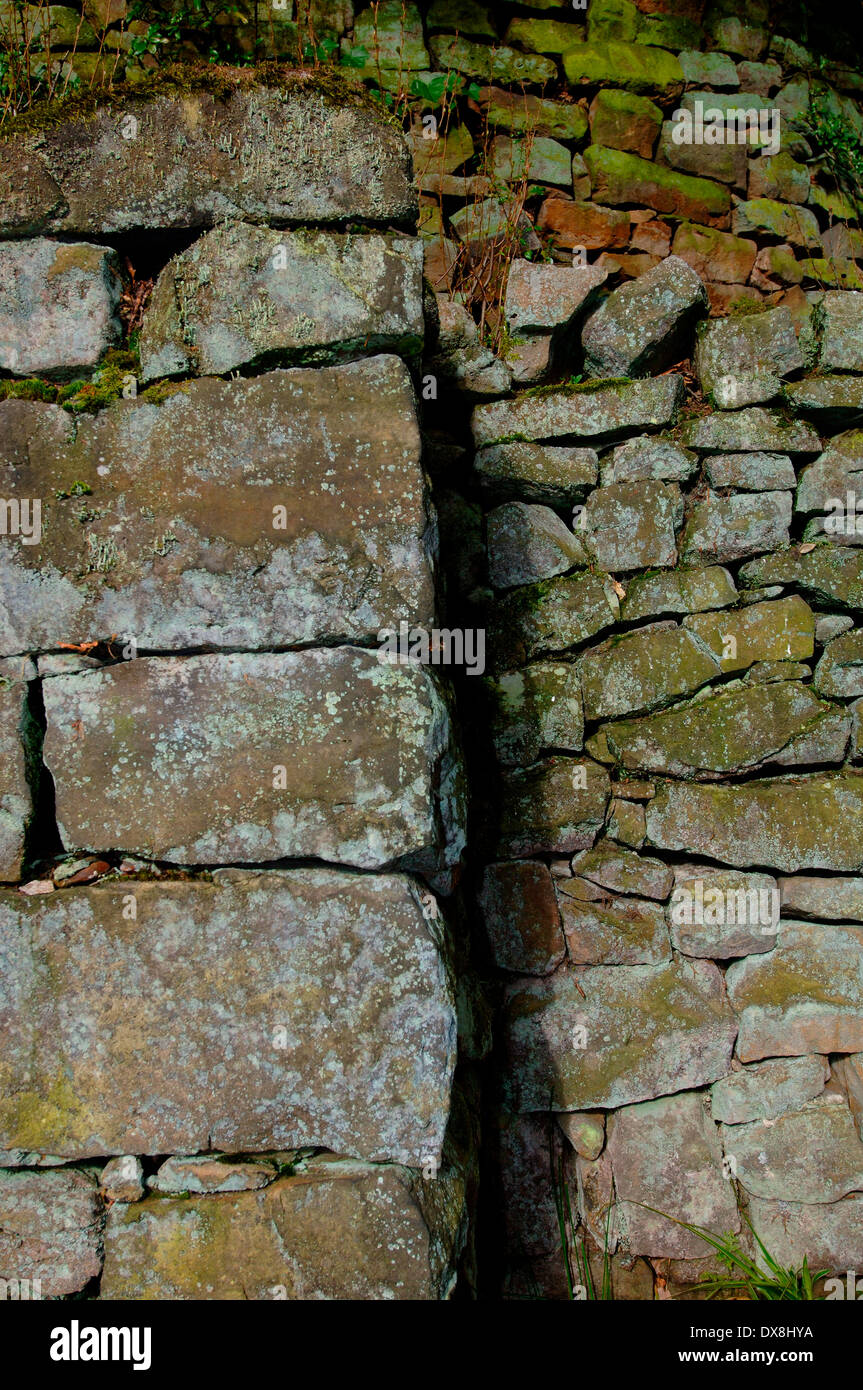 Moos und flechten Fotos und Bildmaterial in hoher Auflösung Alamy