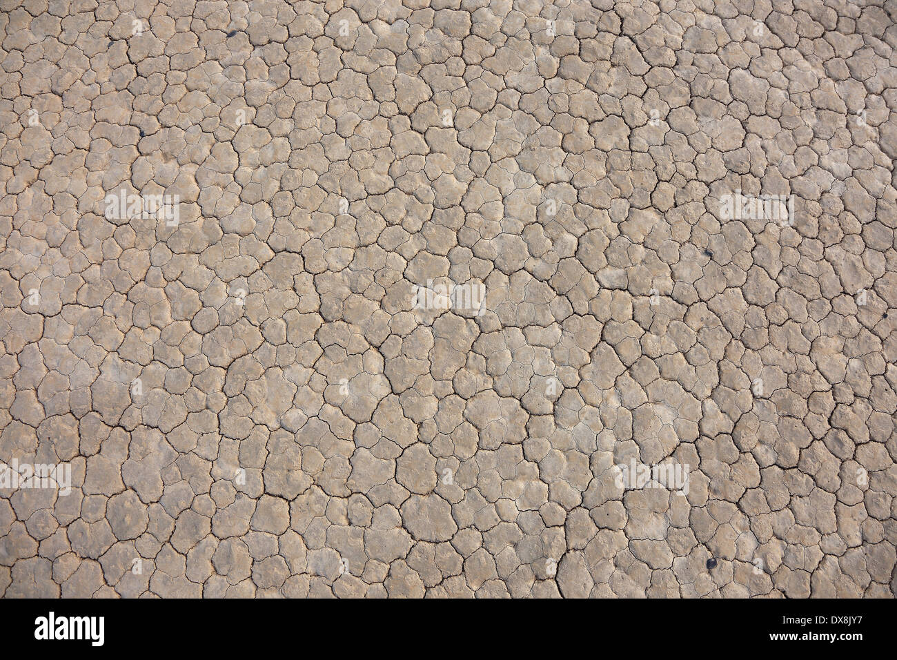 einzigartige geometrische rissige Schlamm Oberfläche Stockfoto