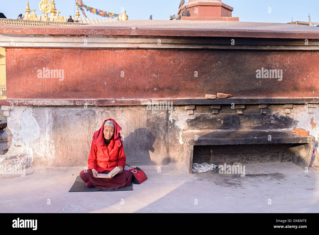 Nepalesische Frau sitzt auf dem Boden, ein Buch zu lesen Stockfoto