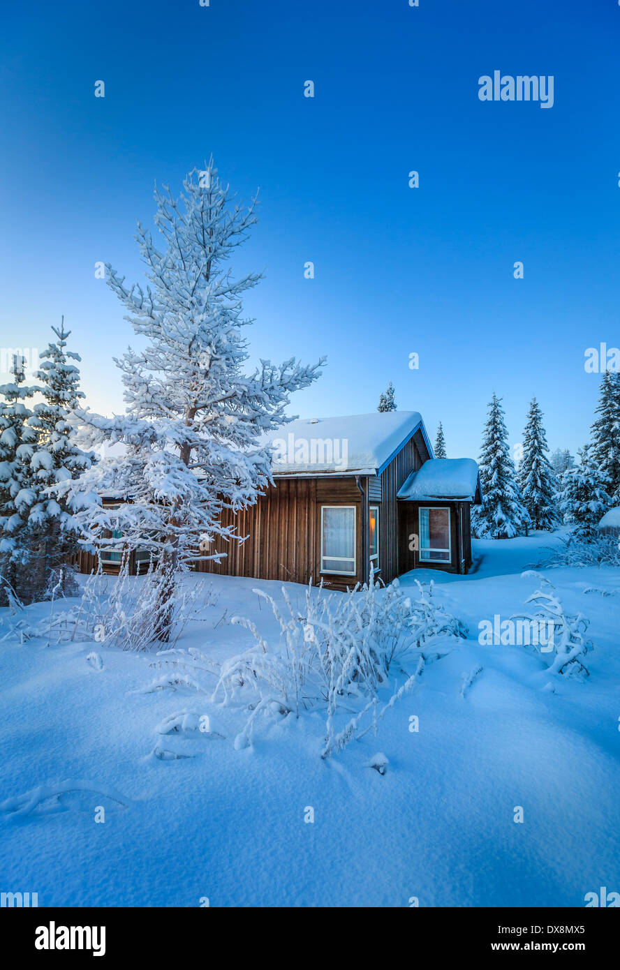 Blockhaus und Schnee bedeckt Bäume in der extremen Kälte, Lappland, Schweden Stockfoto
