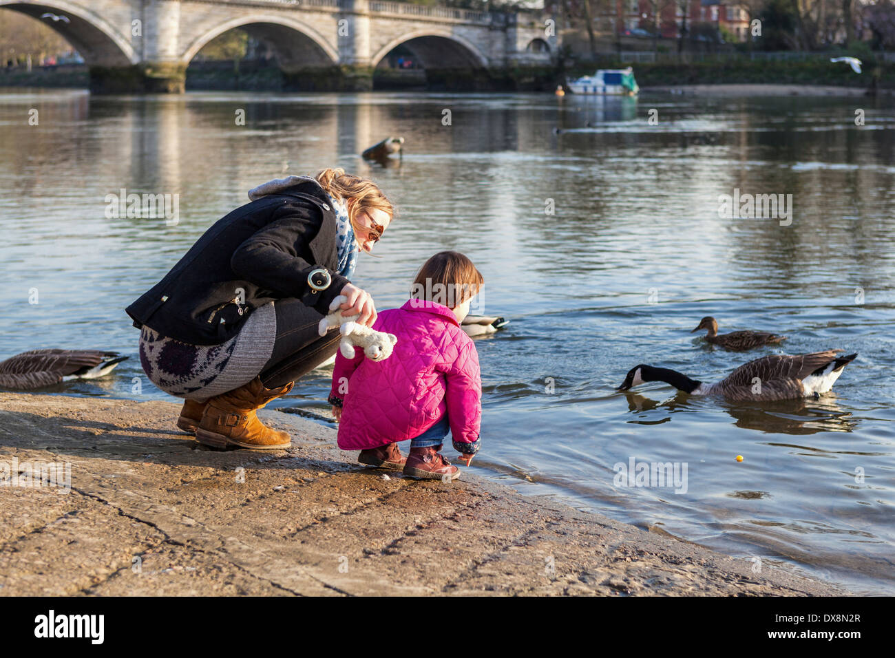 Frau und ein junges Mädchen in rosa Mantel Fütterung der Gänse an den Ufern des Flusses Themse - Richmond upon Thames, London, UK Stockfoto