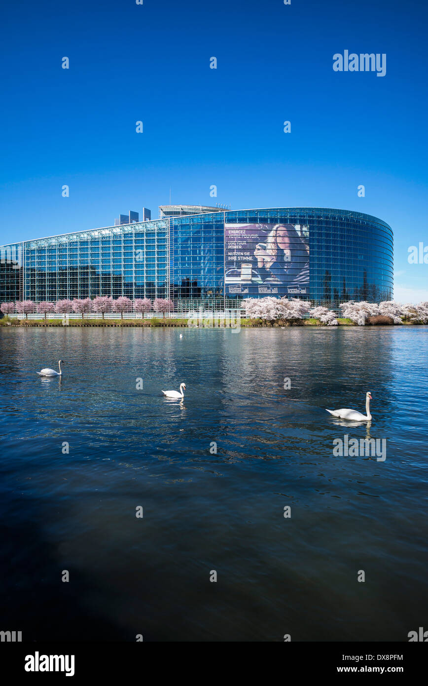 Louise Weiss Gebäude mit Europawahl 2014 Plakat, Europaparlament, Kirschblüten, Ill Fluss, Straßburg, Frankreich Stockfoto