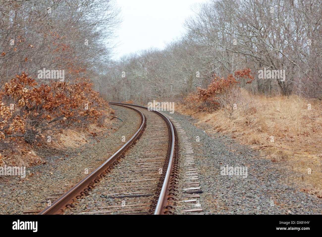 Railroad tracks Kurve durch ein Waldgebiet auf Long Island, NY, USA. Stockfoto