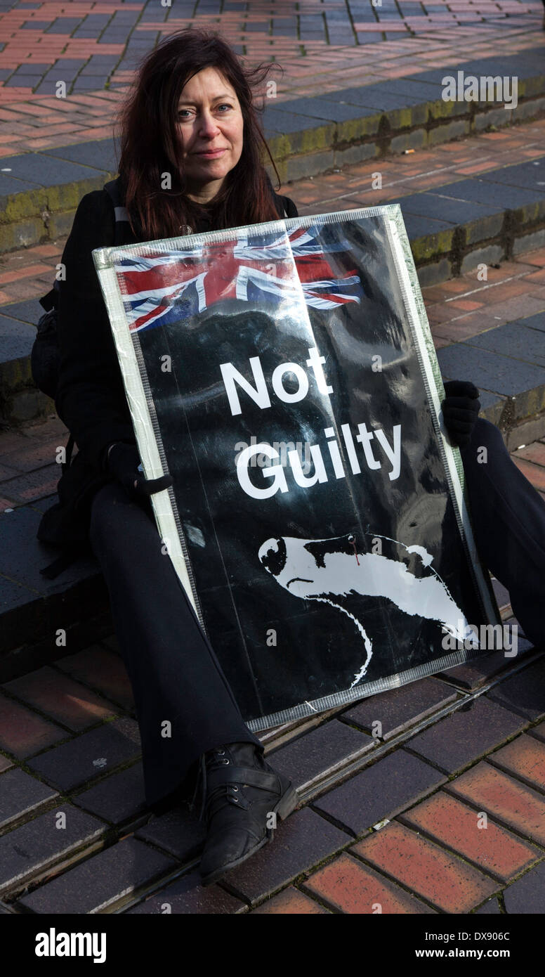 Lady Protest über den Dachs Keulung, England, UK Stockfoto