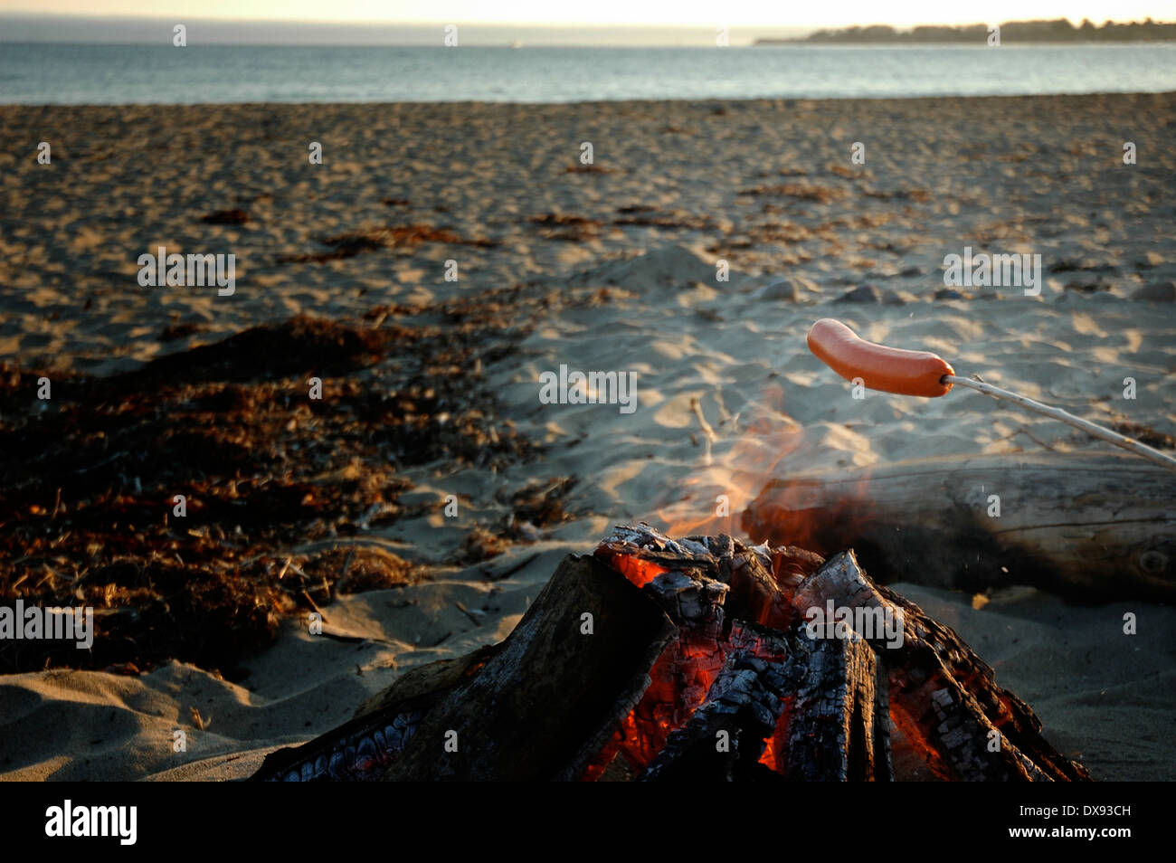 Hot Dog, der am Lagerfeuer am Strand in Aptos, Kalifornien, mit Blick auf die Monterey Bay röstet. Stockfoto