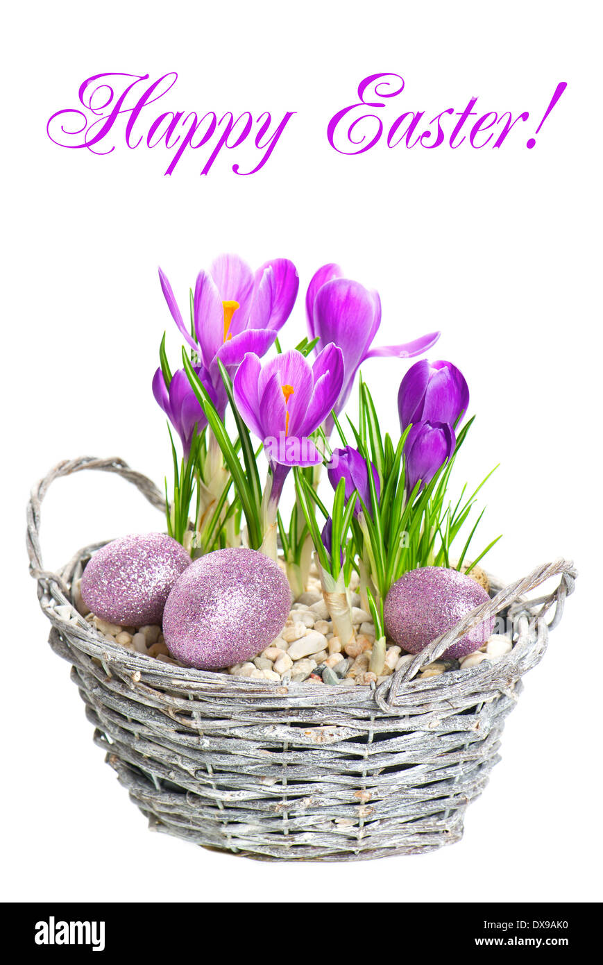 BEAUTIFIL Frühling Blumen Krokus im Korb mit Eiern Osterdekoration auf weißem Hintergrund mit Beispieltext. Karte-Konzept Stockfoto