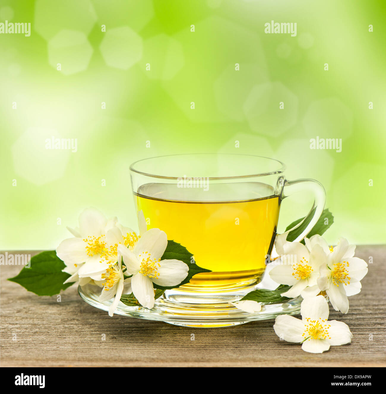 Tasse Tee mit Jasminblüten auf Holztisch über grüne Hintergrund jedoch unscharf Stockfoto