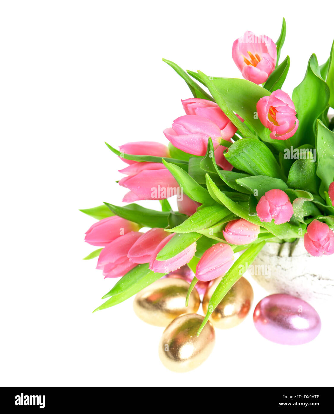 frische rosa Tulpe Frühlingsblumen mit glänzenden Eiern Ostern auf weißem Hintergrund Stockfoto