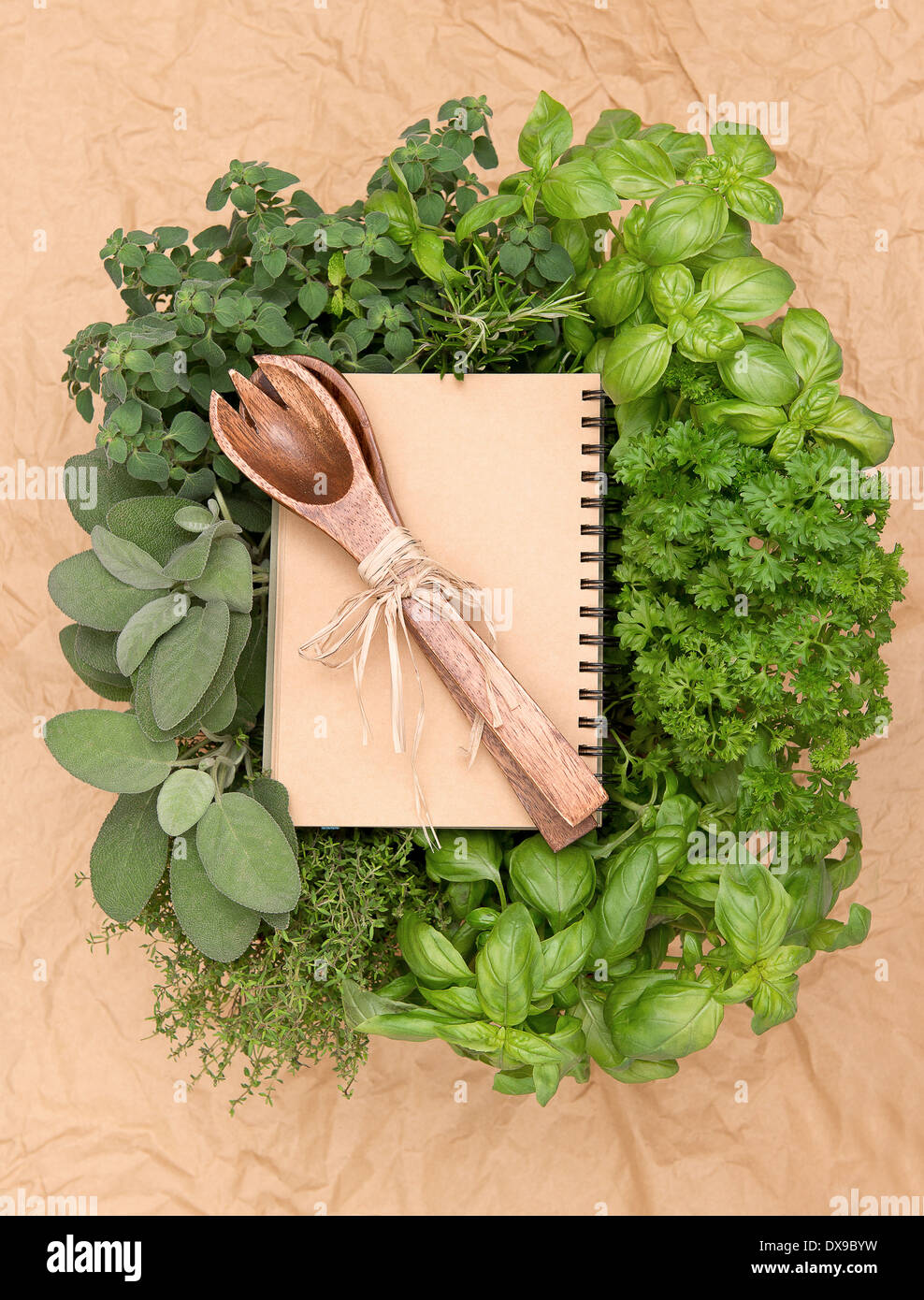 leere Rezeptbuch mit verschiedenen frischen Kräutern und Dekoration. Kochen Hintergrund Stockfoto