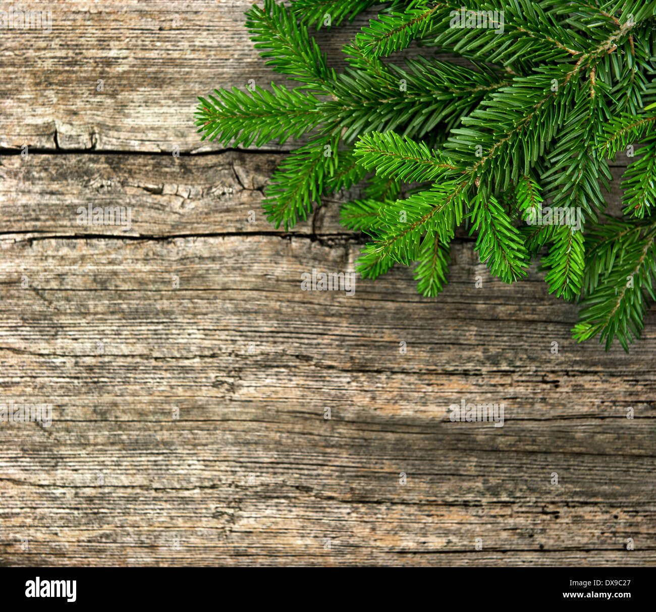 Tanne Zweig auf rustikalen hölzernen Hintergrund. Weihnachts-Dekoration Stockfoto