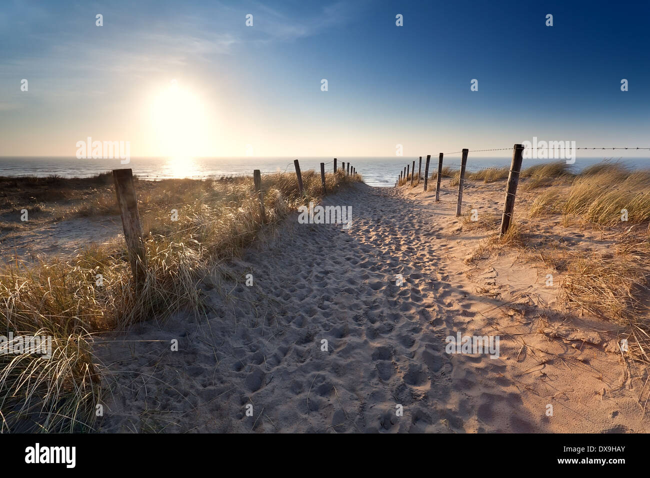 Sand Weg zum Strand der Nordsee, Zandvoort Aan Zee, Nordholland, Niederlande Stockfoto