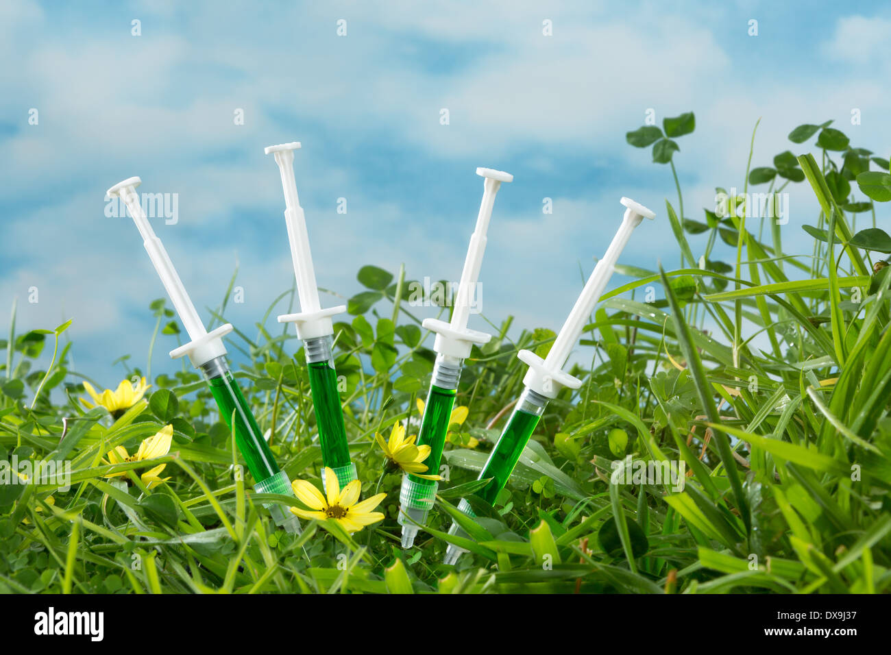 Vier Spritzen Gras als Symbol für gentechnisch veränderte Dna und Biotechnologie Stockfoto