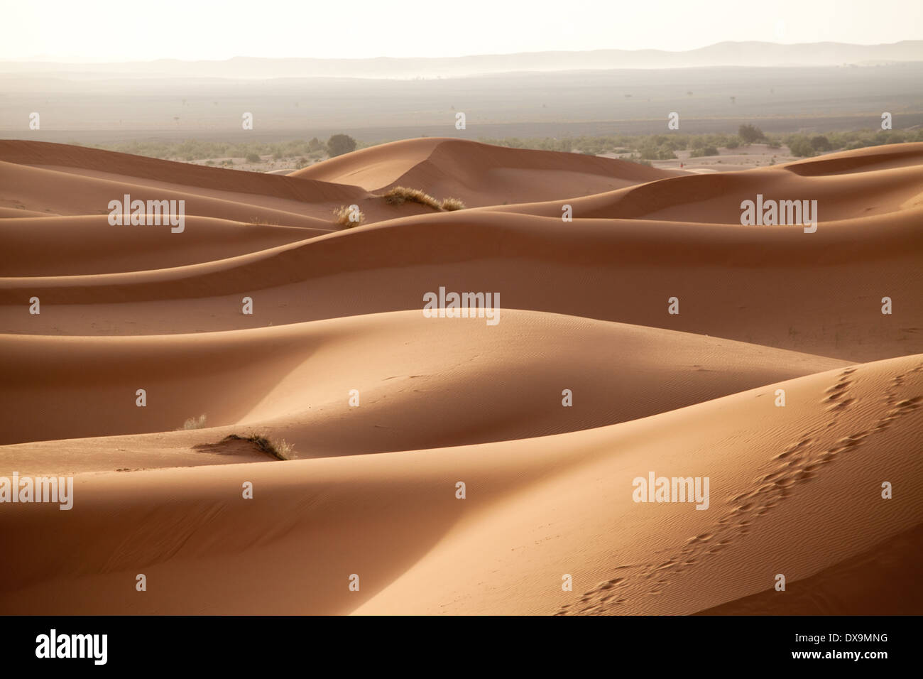 Afrika, Marokko, Erg Chebbi Wüste Stockfoto