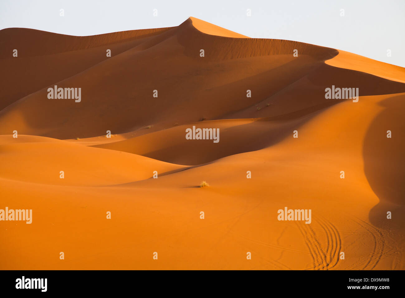 Afrika, Marokko, Erg Chebbi Wüste Stockfoto
