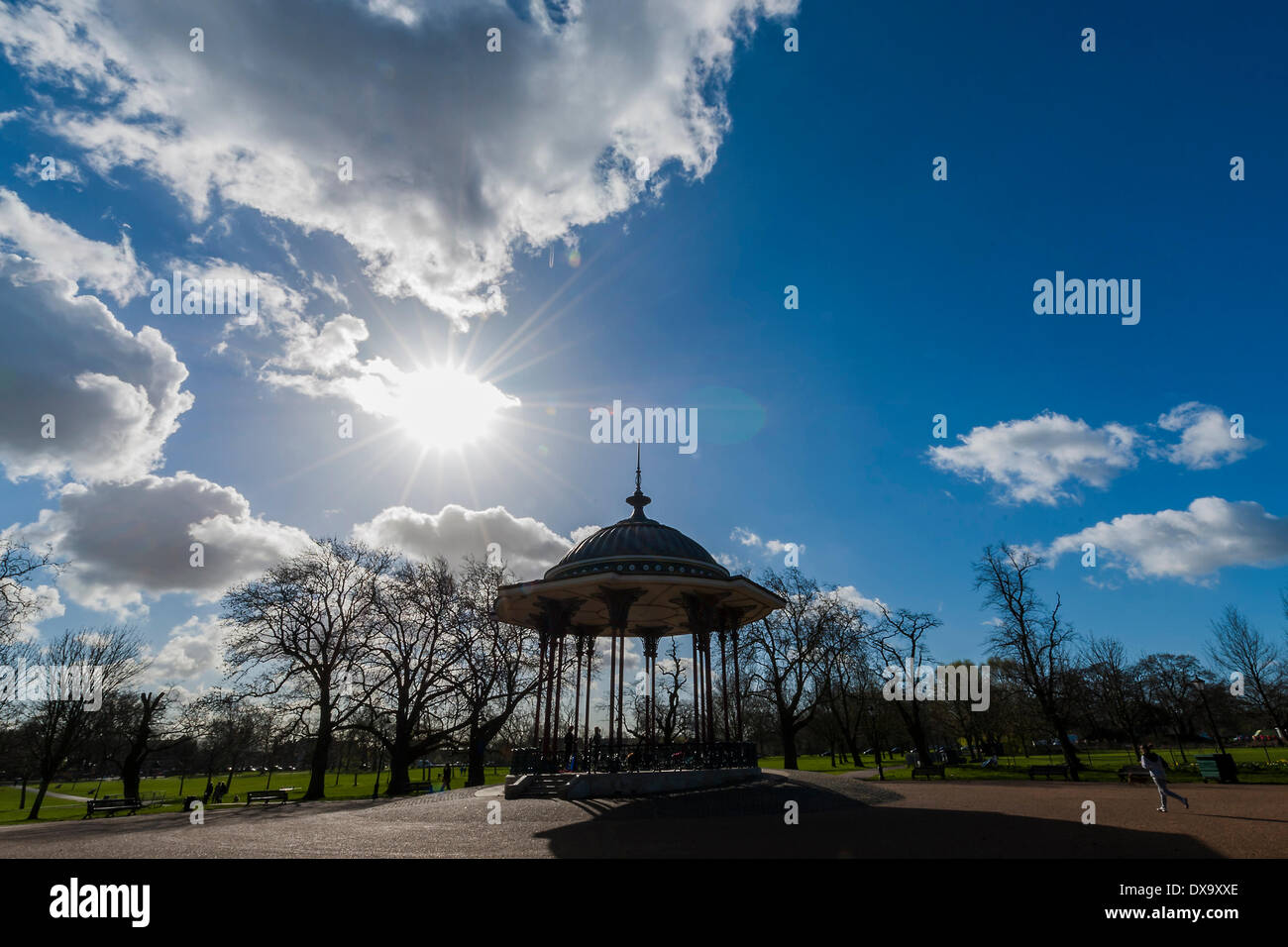 London, UK. 21. März 2014. Die Frühlings-Tagundnachtgleiche bringt blühenden Narzissen, grüne Triebe und blauen Himmel in Clapham Common, London, UK 21. März 2014. Bildnachweis: Guy Bell/Alamy Live-Nachrichten Stockfoto